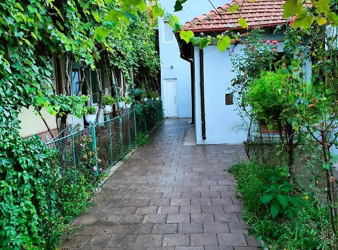 Ivavev Is Us Bythesea Pensiune